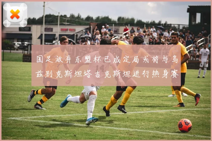 国足放弃东盟杯已成定局或将与乌兹别克斯坦塔吉克斯坦进行热身赛