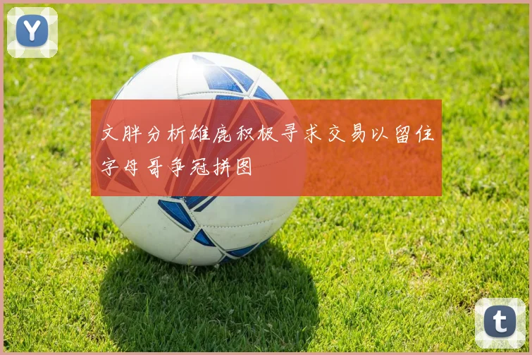 文胖分析雄鹿积极寻求交易以留住字母哥争冠拼图